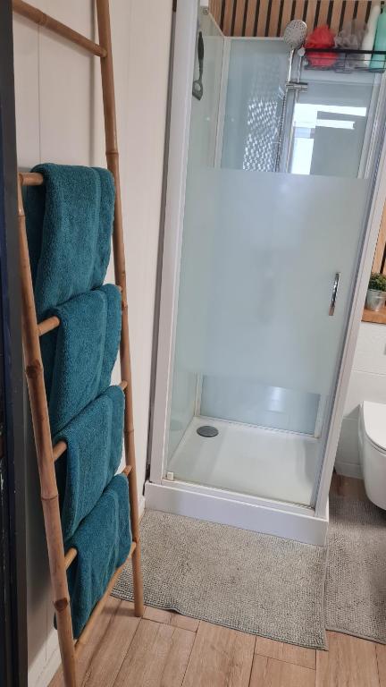 Appartement privatif cozy Euratechnologies - 3