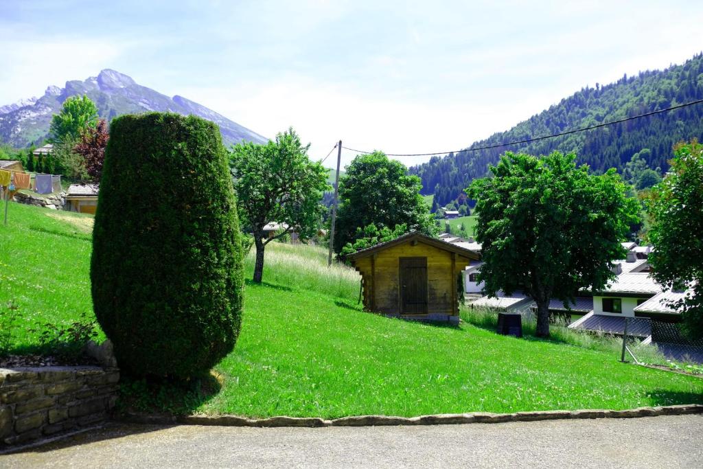 Le Cedre - 3