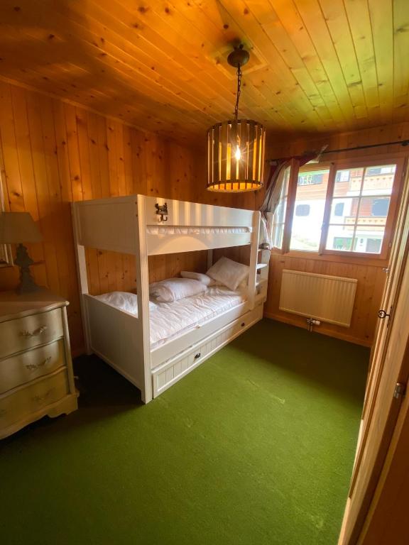 2 bedroom apartment close to ski lifts and amenities - 4