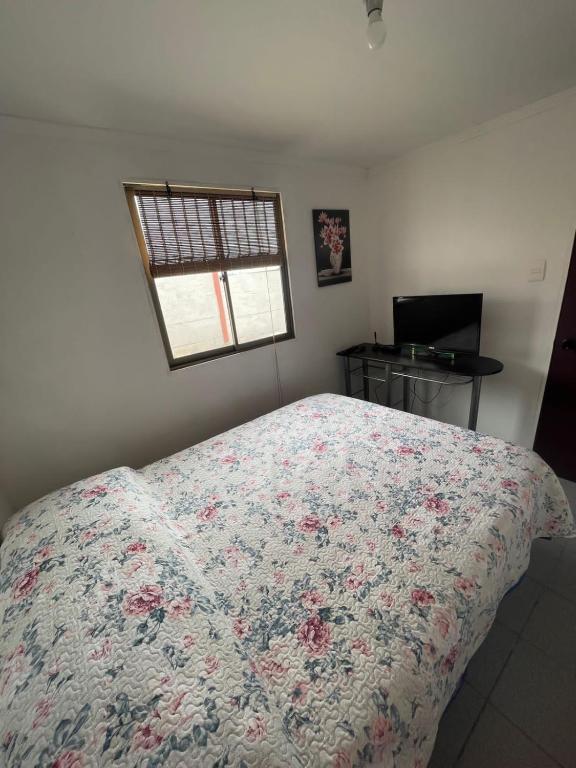 Hispalis hostel - 3