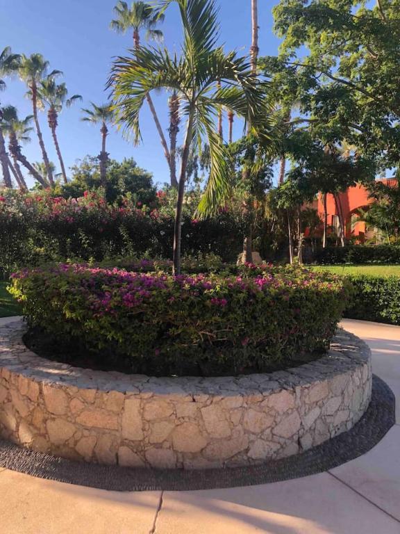Gorgeous Casa del Mar Condo - 3