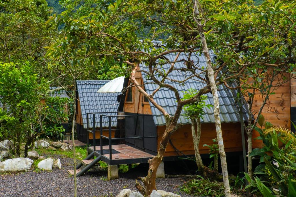 Glamping Miramelindo - 4