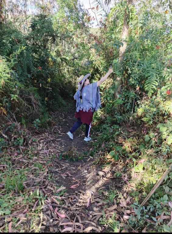 Finca la Rosita - 1