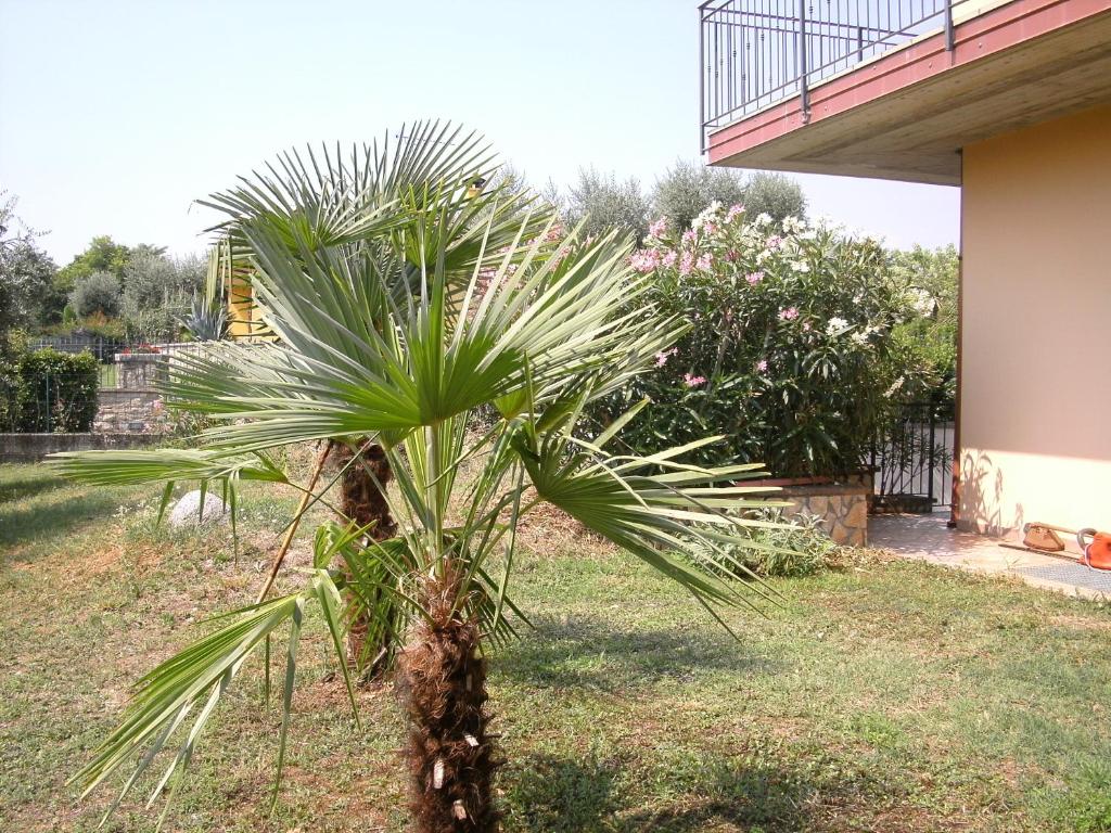 B&B Agli Ulivi - 4