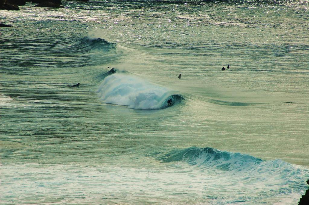 Surrounding environment