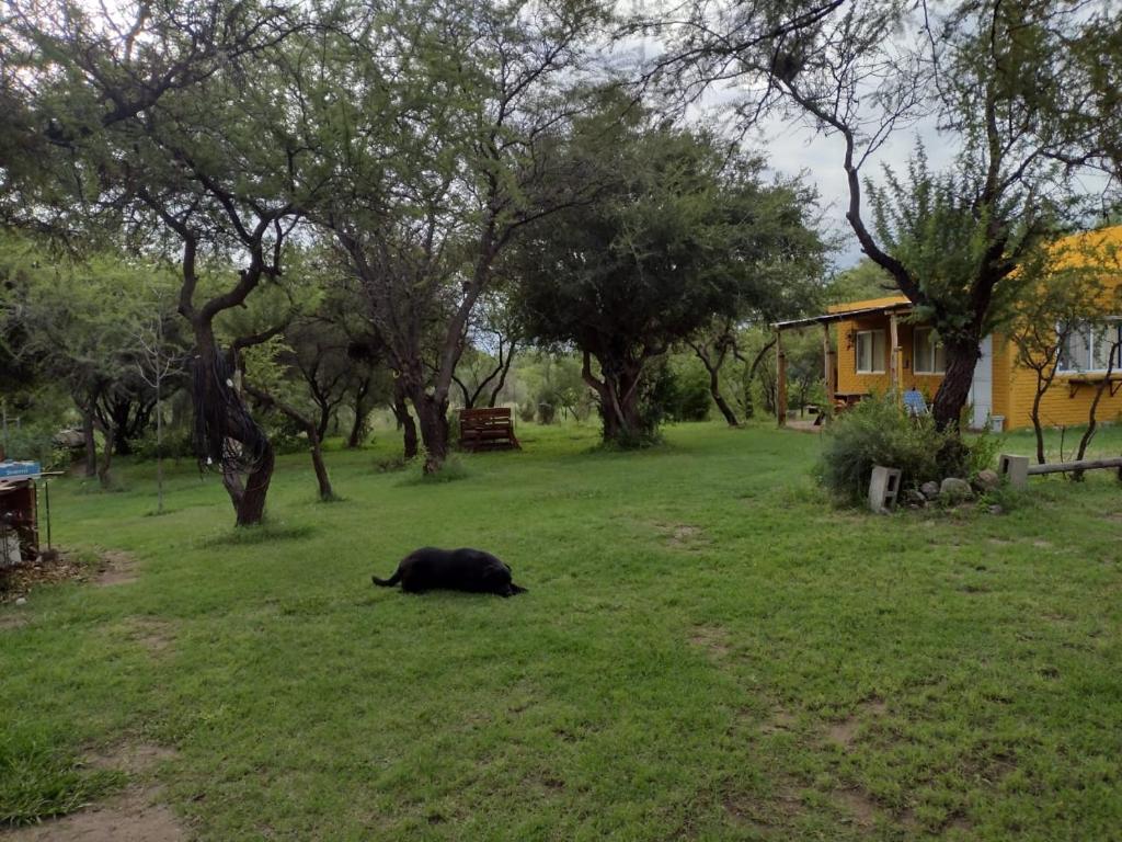 Cabañas Roka Mistika - 2