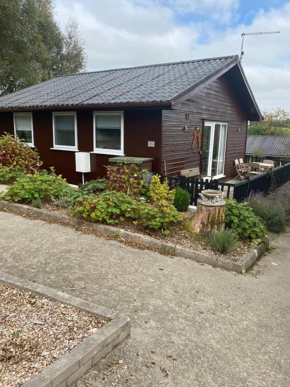 Cosy north Devon lodge within Hartland forest, Exeter