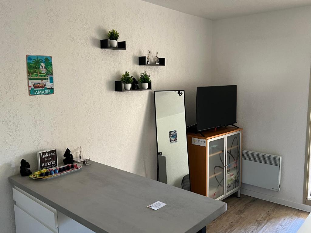 Charmant studio calme bord de mer Wifi-NESPRESSO-DRAPS-LINGE DE BAIN - 5