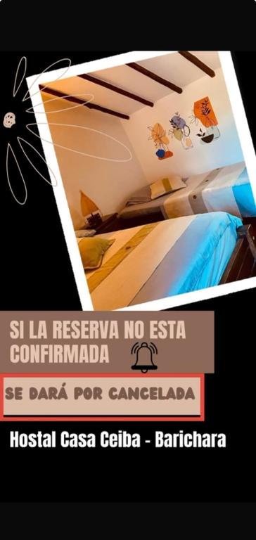 Hostal Casa Ceiba - 3