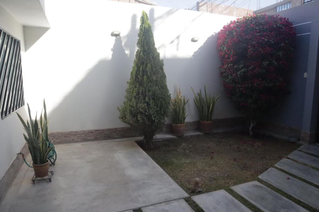 Casita en Ica Villa Periodista cerca a Huacachina - 3