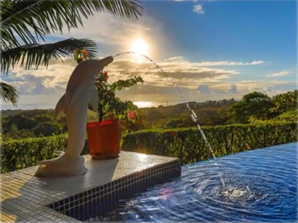 PRIVATE SPACE Just you and the Birds with PRIVATE INFINITY POOL, Uvita