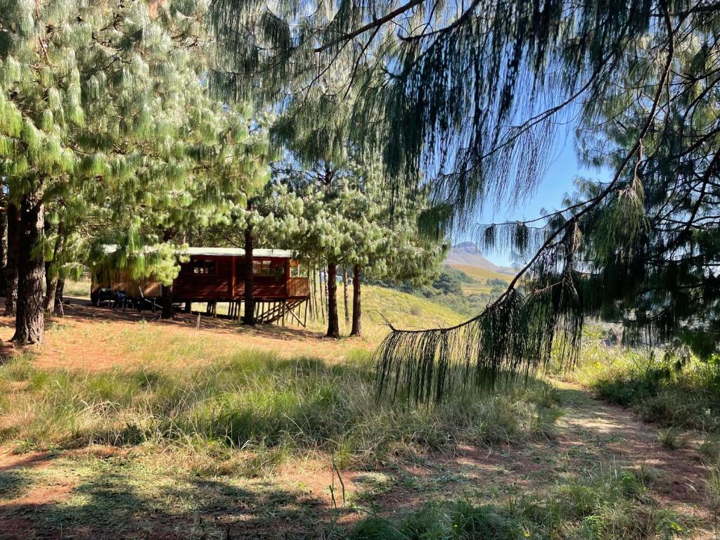 Dargle Forest Lodge, Dargle