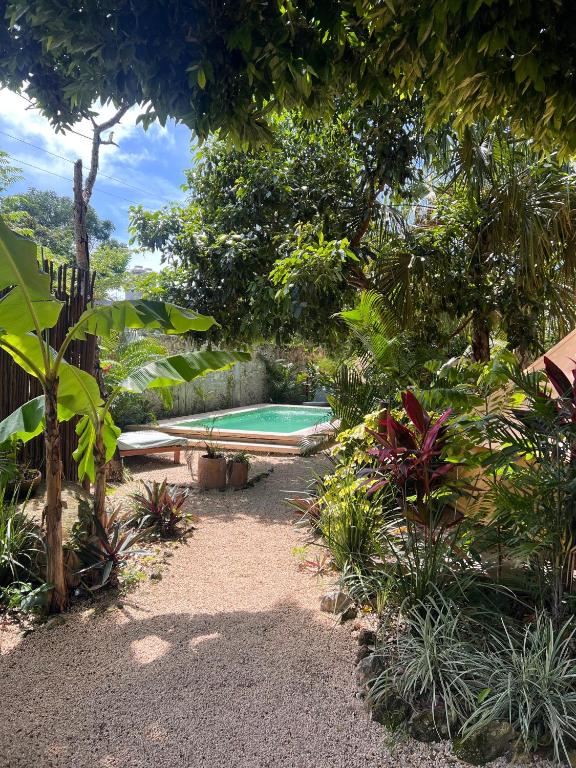 Shamalay - Nomad Experience, Bacalar