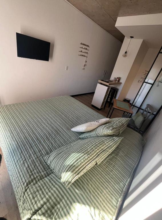 Apartamento estudio Flor de Lis - 4