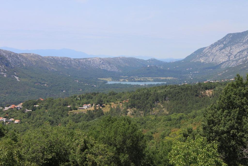 Surrounding environment