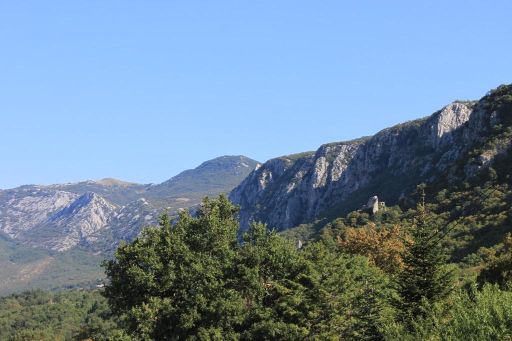 Surrounding environment