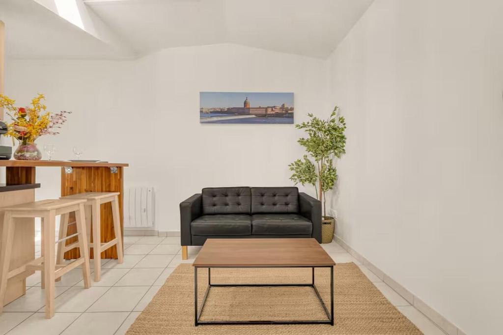 Havre de paix avec terrasse privé à Toulouse - 3