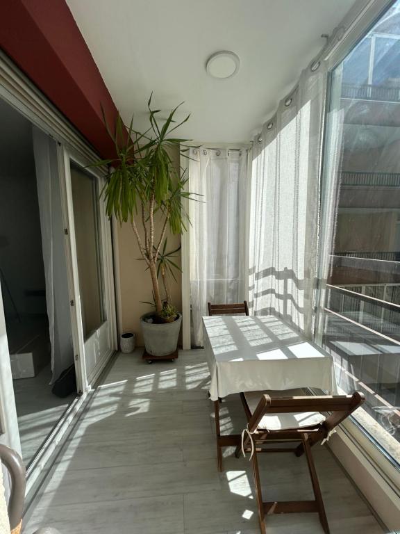 Appartement T2 tout confort Amélie-les-Bains - 2
