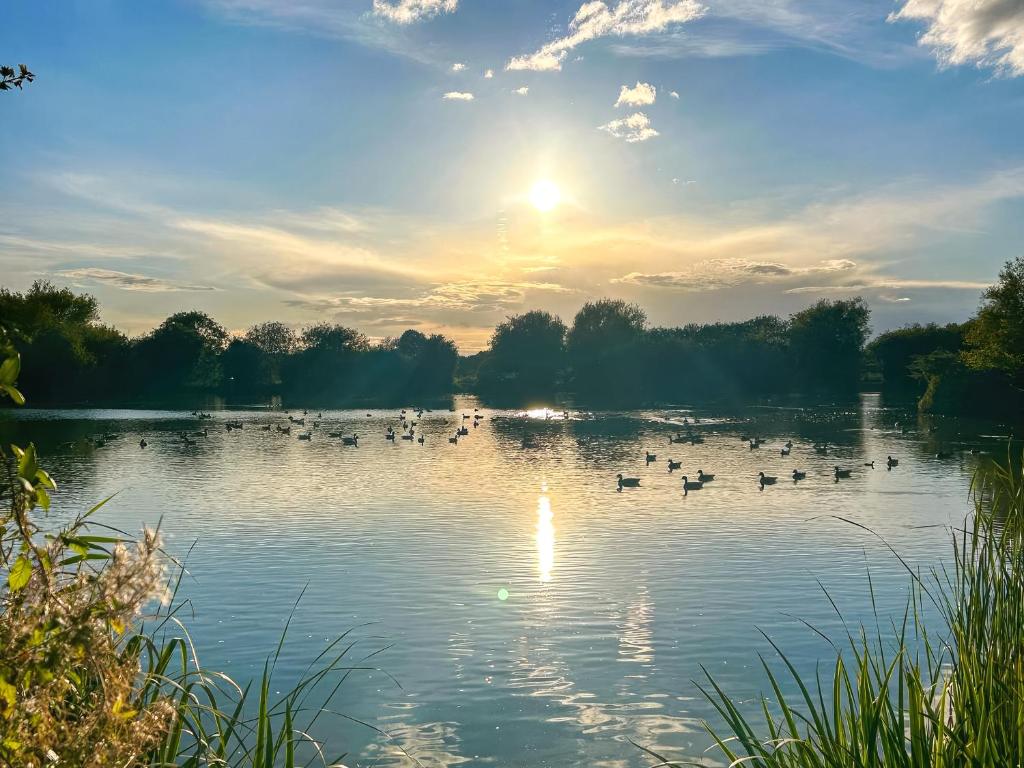 Orchard House - Uk48580, Rochford