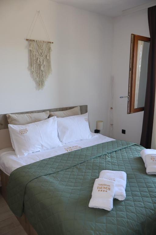 Apartman TAUNUS - 5