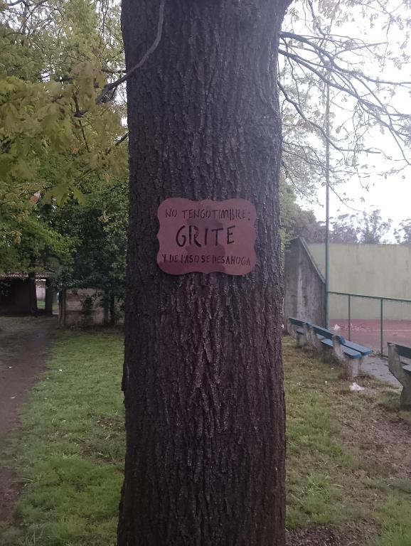 Monoambiente de noviembre a marzo zona sur de Mardelplata con patio - 4