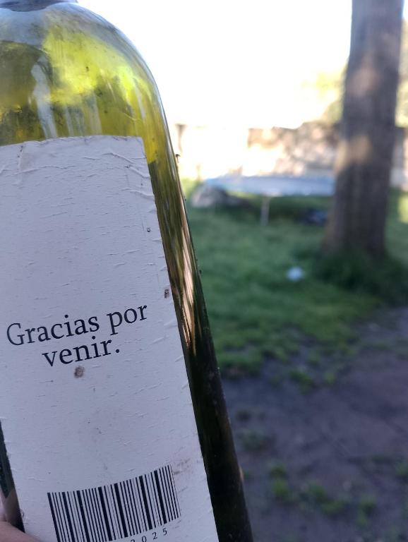 Monoambiente de noviembre a marzo zona sur de Mardelplata con patio - 5