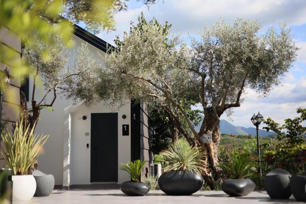 Muraga Villas, Tirana