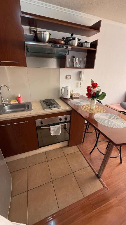 Apartamento Orquidea - 5