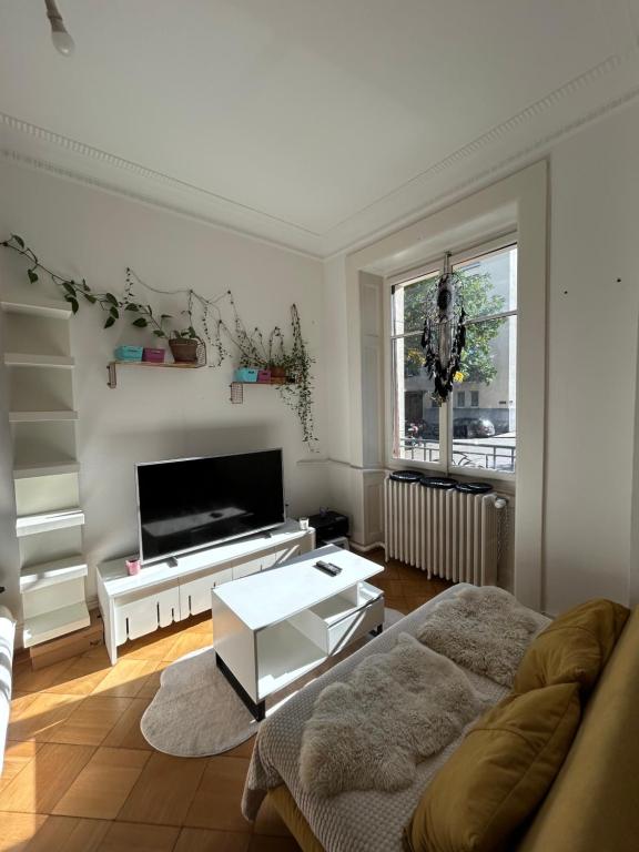 Geneva smart studio, Arni Alp