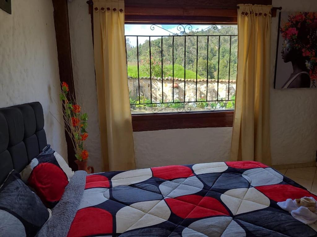The Frailejon House - 5
