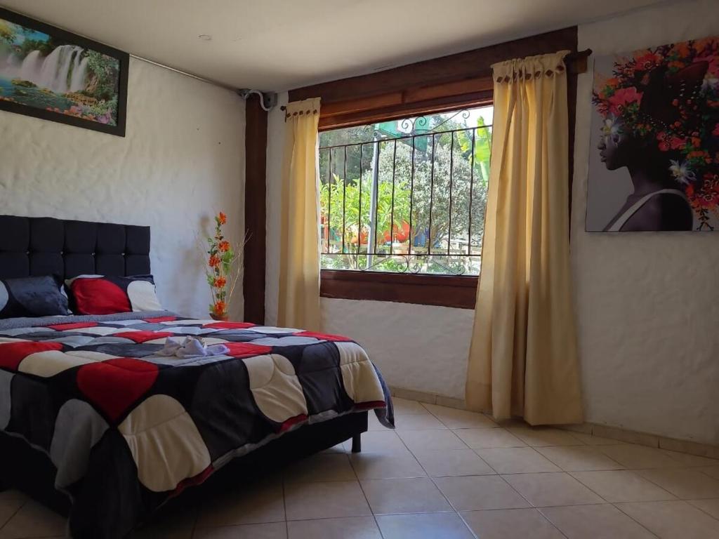 The Frailejon House - 2