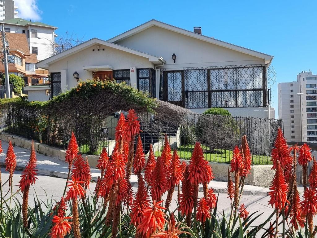 El Chalet del Gato, apartamento 2 - 1
