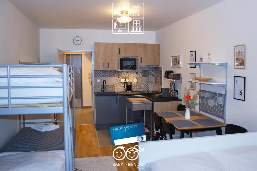 ENJOYHARRACHOV - Atraktivní slunné studio Čertovka v centru Harrachova s garážovým parkováním, Wifi-WLAN, Ipad, SAT, herní konzolí, Netflix zdarma a nejkrásnějším výhledem na Čertovu horu s areálem skokanských můstků a sjezdovku jen 150m od lanovky, Harrachov