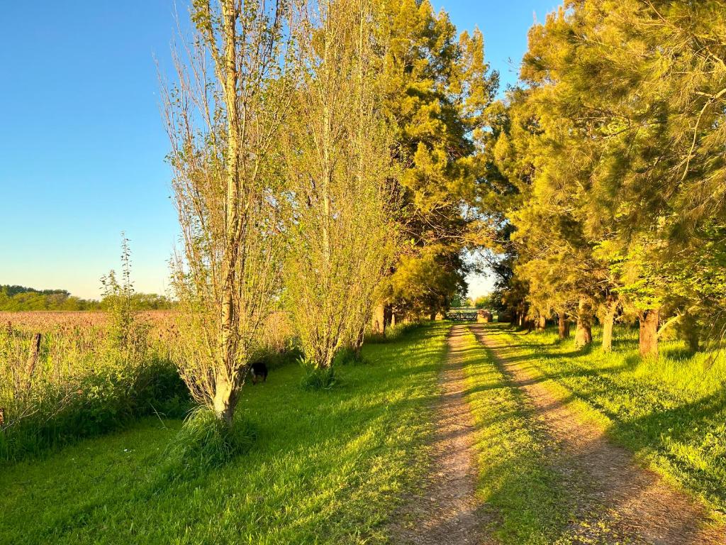 Espectacular Casa de Campo en Areco - 2