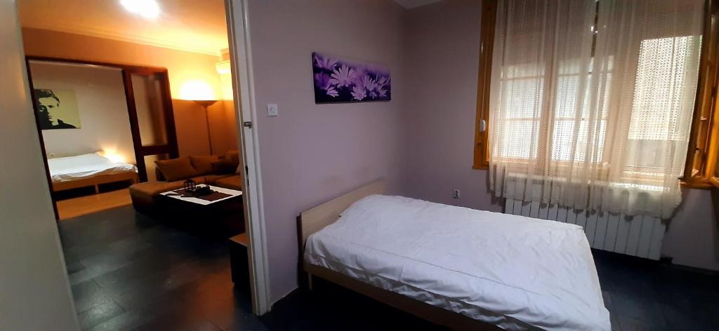 Apartman Savka - 3