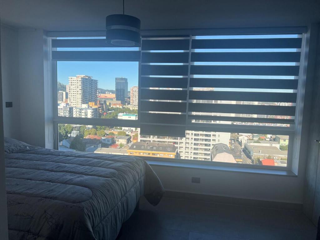 Studio-type apartment - 3