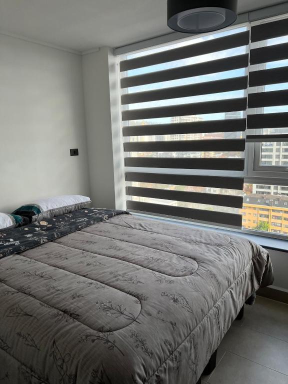 Studio-type apartment - 5
