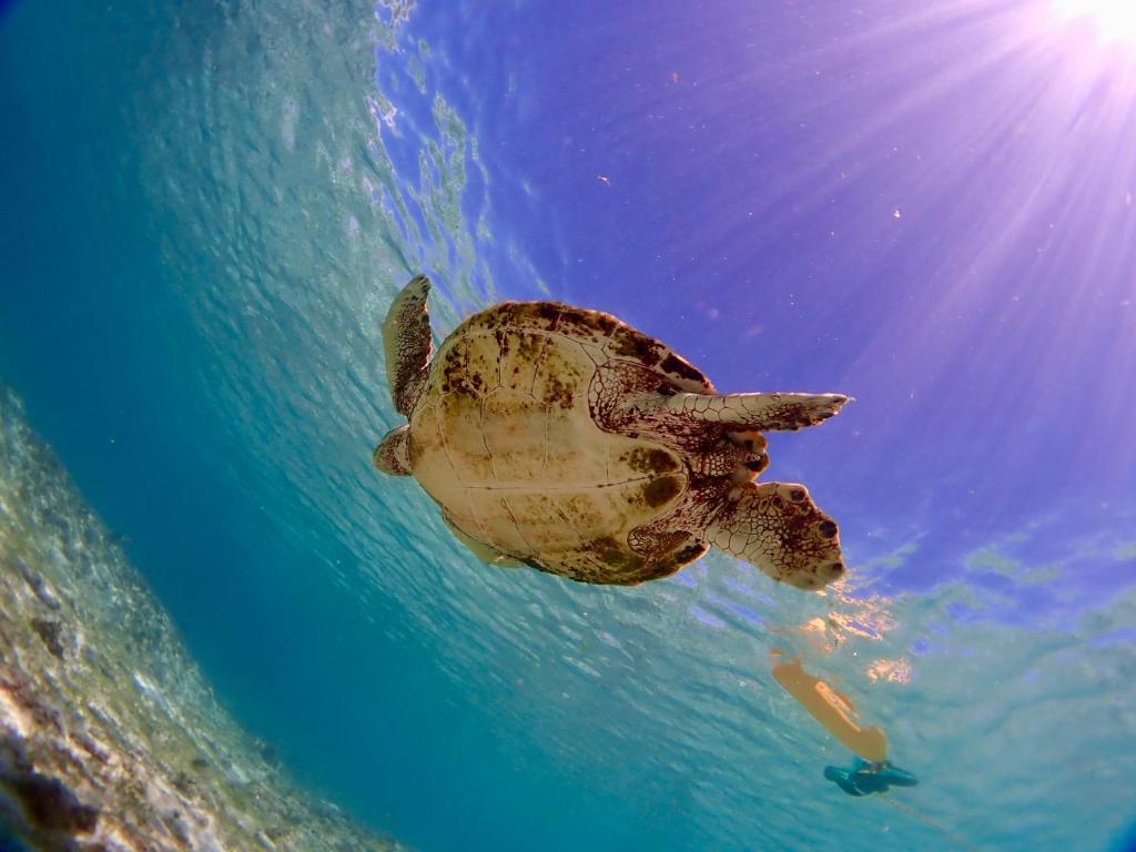 Sports and activities