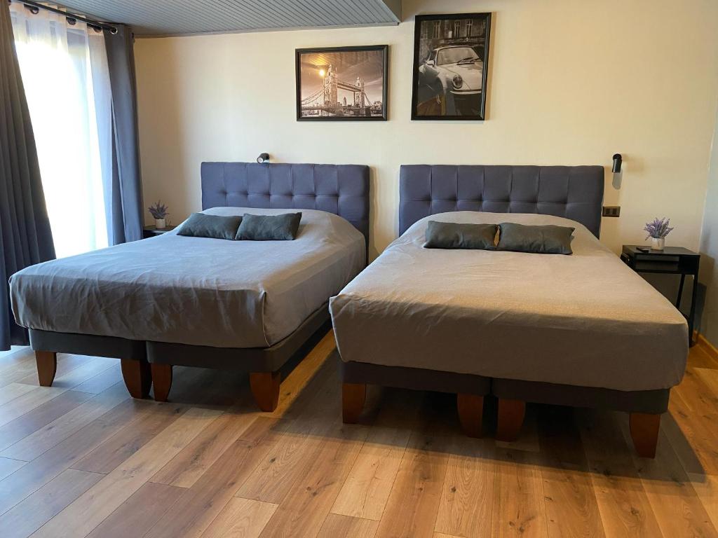 Hotel Boutique 501 - 5