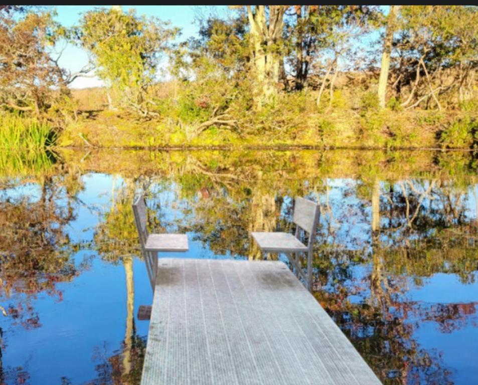 Lake Front, Ski,hot Tub, Fire Pit, Fp, Boats, Gouldsboro