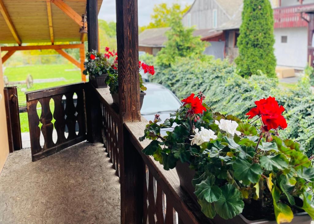 Toma Guesthouse, Sîncraiu