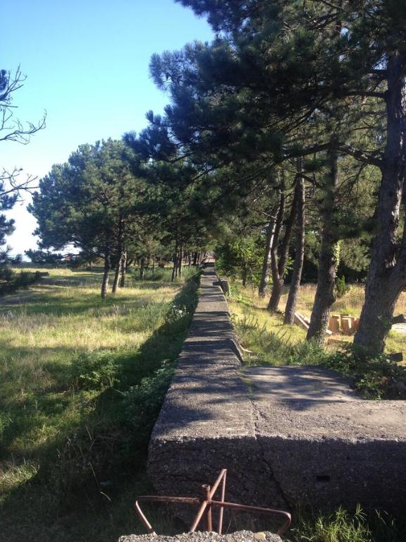 Welcome to Kobuleti photo