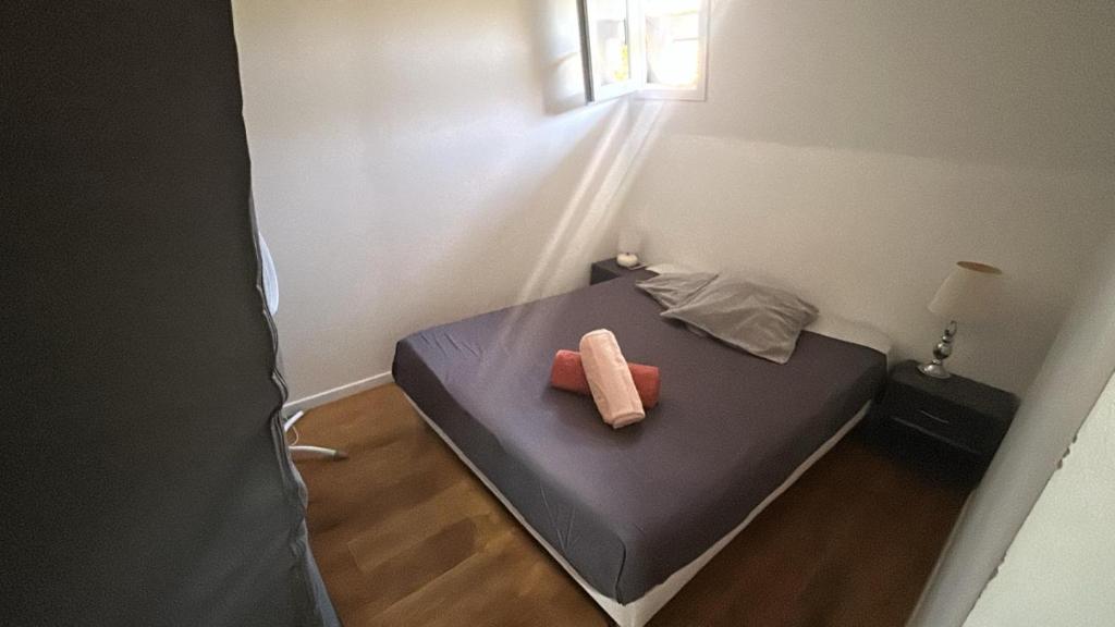 Appartement T2 coconing, WIFI, INTERNET, CLIM, 300m plage - 3