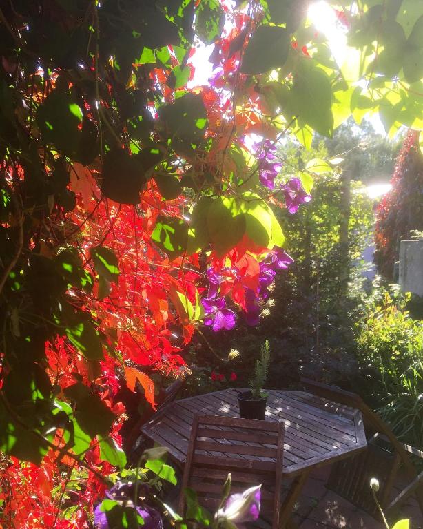 Splatthayes B&B ガーデン