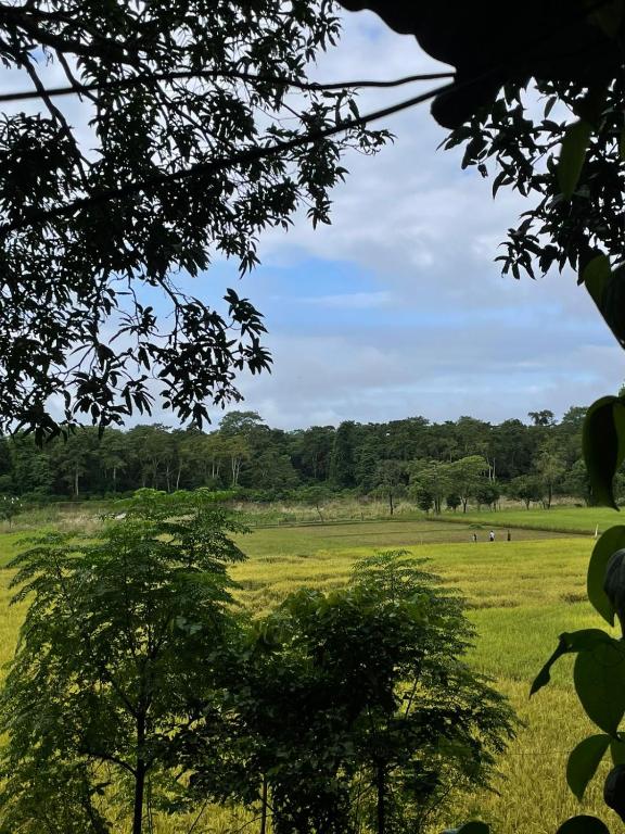 View