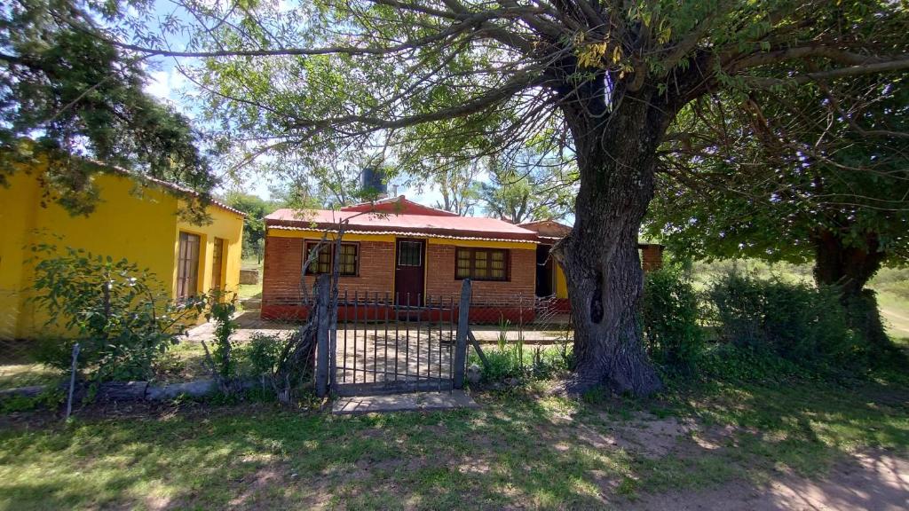 La casa de David - 5