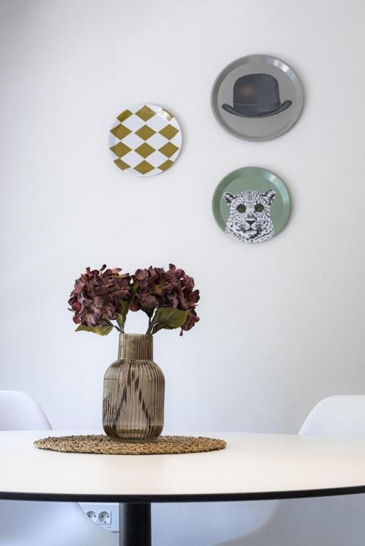 C Street Studio, Priština