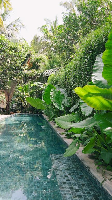 DreamTime, Hikkaduwa