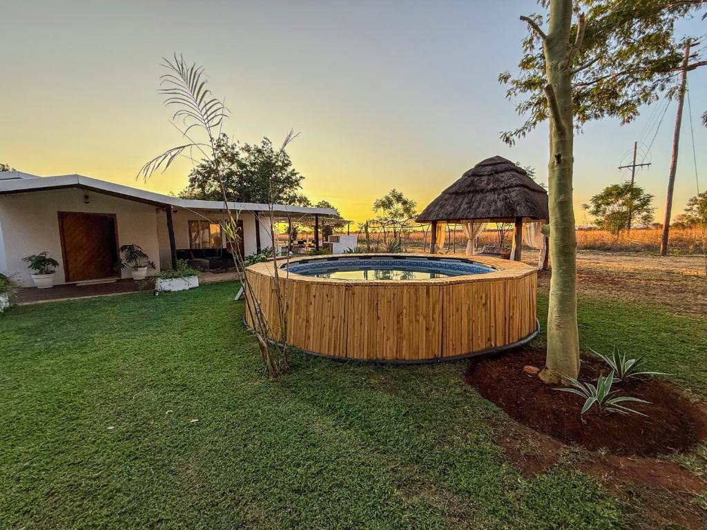 Lemón Phoenix, Bela-Bela