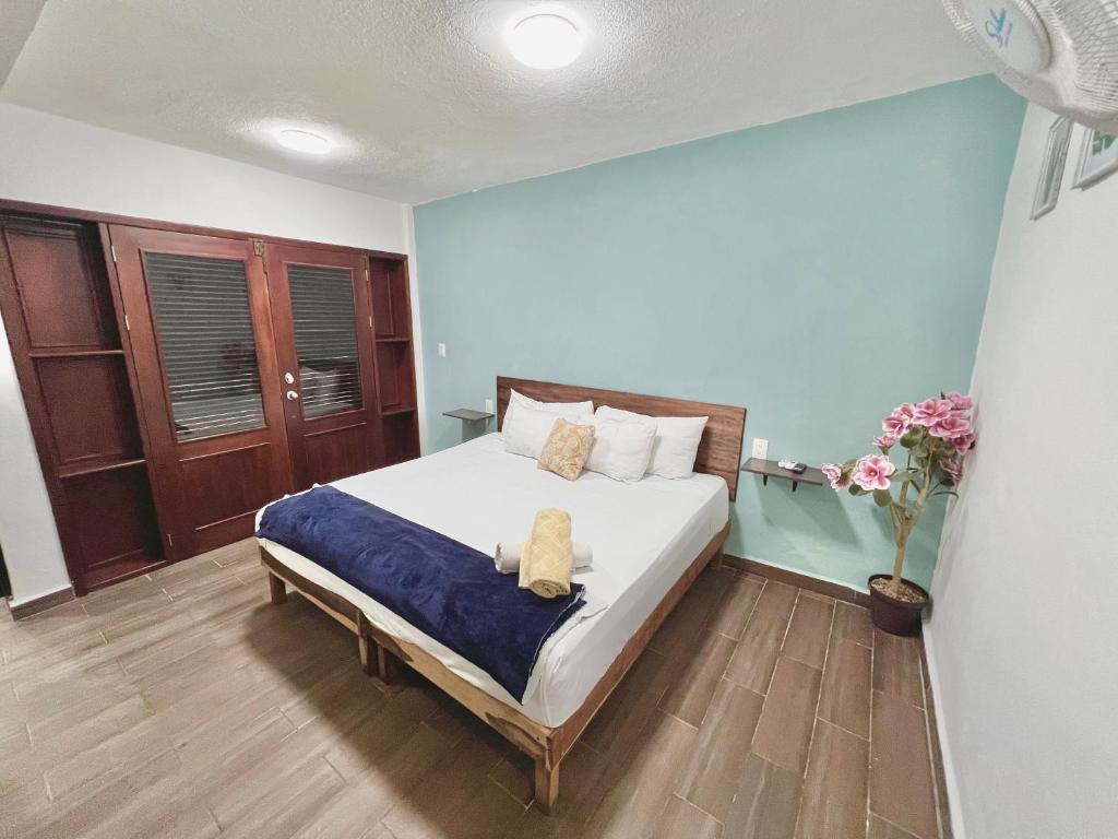 Habitaciones Bacalar MYD - 5